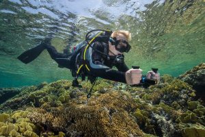 Las 7 mejores cámaras sumergibles para submarinismo